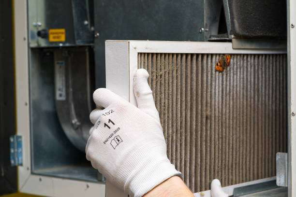 Best Air Vent Cleaning Services  in Buchanan, GA