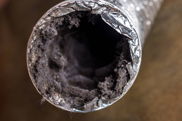 Best Best Air Duct Cleaning Company  in Buchanan, GA
