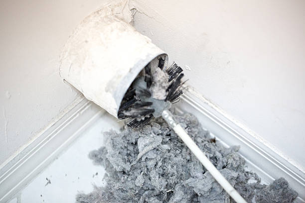 Best Affordable Duct Cleaning Services  in Buchanan, GA