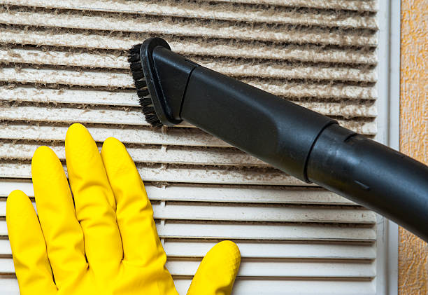 Best Affordable HVAC Duct Cleaning  in Buchanan, GA