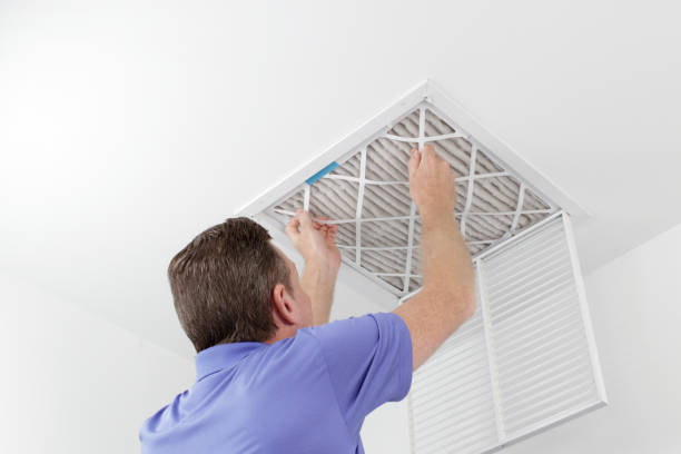 Best Air Duct Cleaning Near Me  in Buchanan, GA